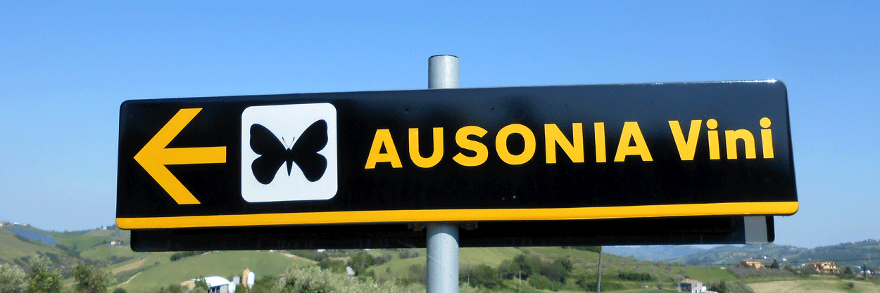 “Bike & Wine” Ausonia – Atri