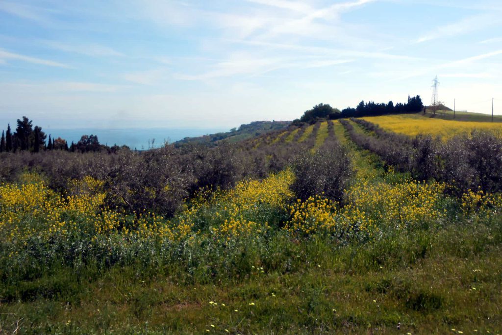 MTB Intercomunale Atri e Silvi  “Tra Colline e Contrade”