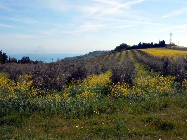 MTB Intercomunale Atri e Silvi “Tra Colline e Contrade”