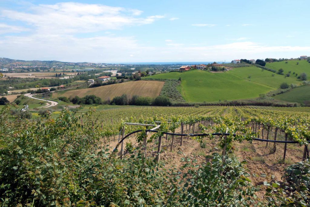 Anello MTB della Riserva Naturale Regionale Oasi WWF Calanchi di Atri