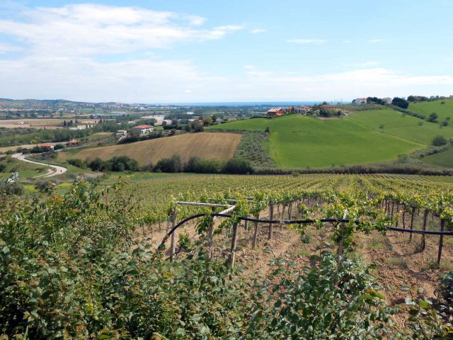 Anello MTB della Riserva Naturale Regionale Oasi WWF Calanchi di Atri