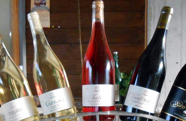 “Bike & Wine” F.lli Fuschi – Silvi