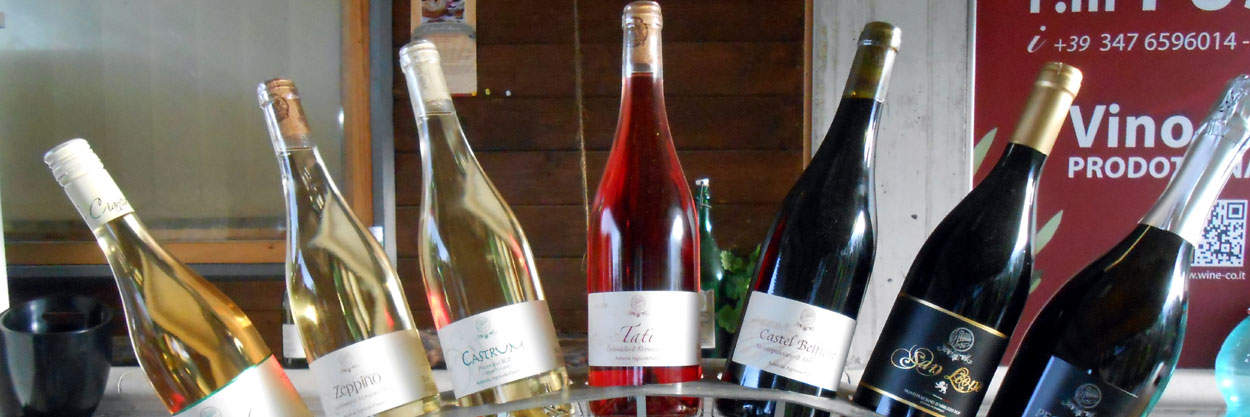 “Bike & Wine” F.lli Fuschi – Silvi