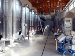 L'interno della Cantina