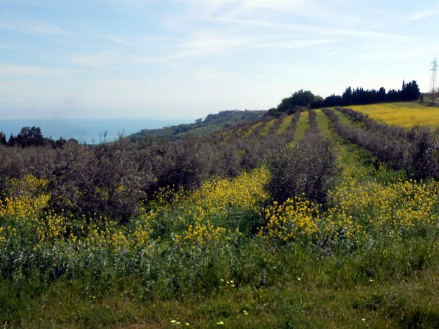MTB Intercomunale Atri e Silvi  “Tra Colline e Contrade”