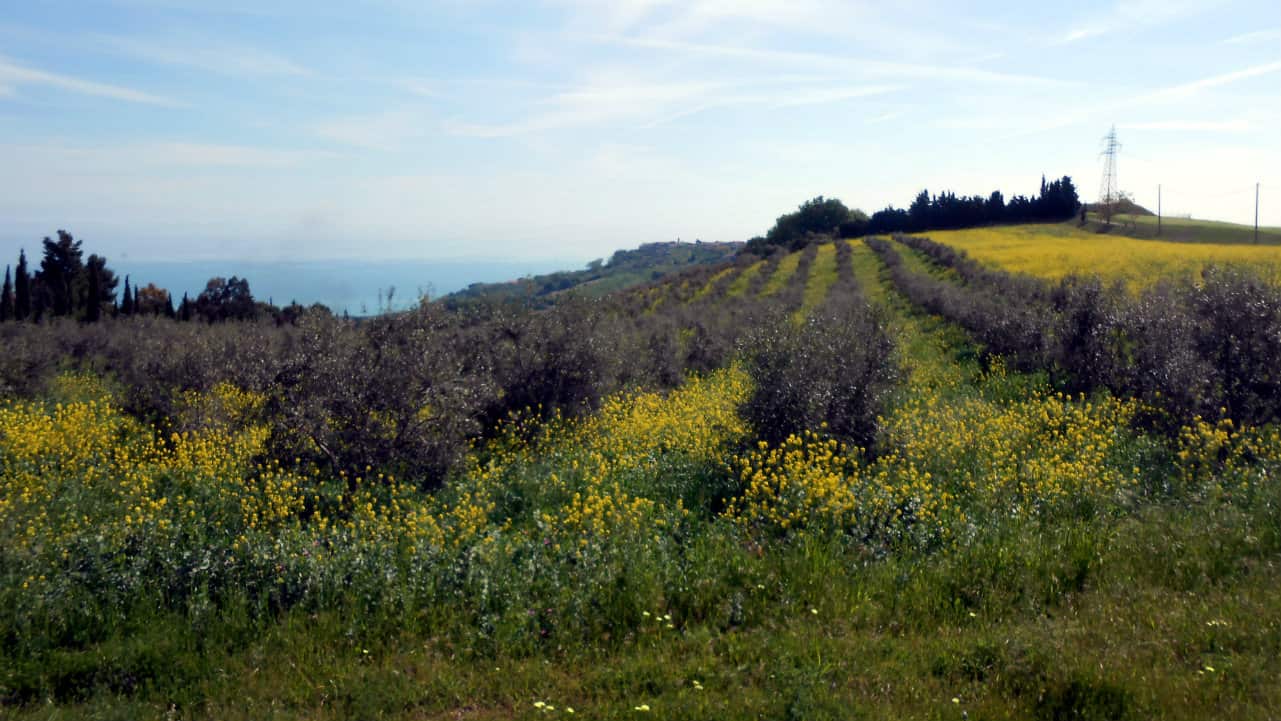 MTB Intercomunale Atri e Silvi  “Tra Colline e Contrade”