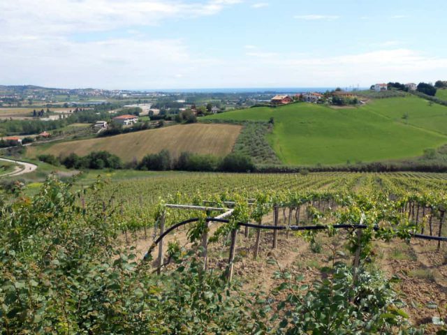 MTB Anello del Cerrano