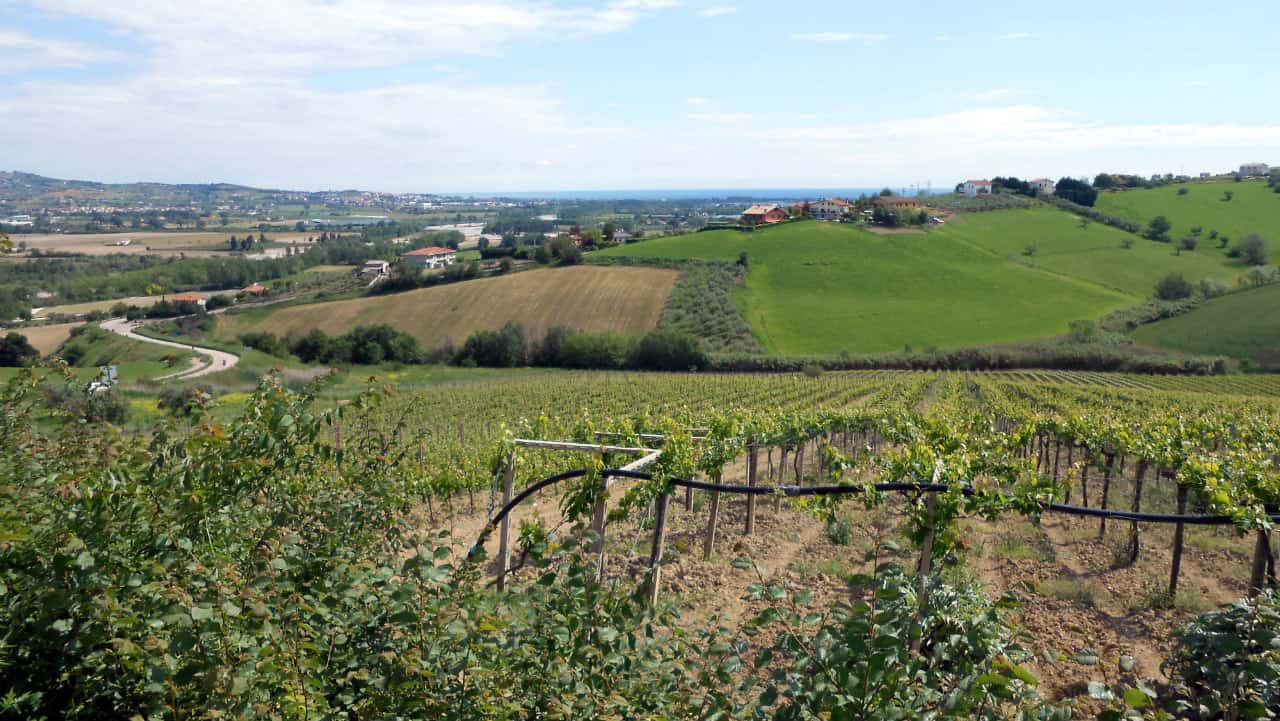 MTB Anello del Cerrano
